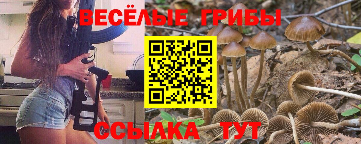 Трёхгорный  Псилоцибиновые грибы Magic Shrooms  закладка  Вход с VPN 